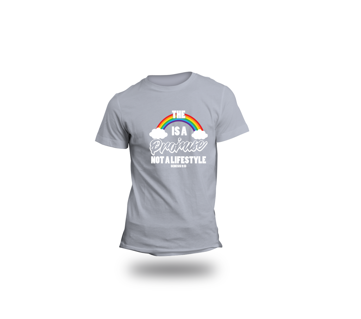 The Rainbow is A Promise Not a Lifestyle tee
