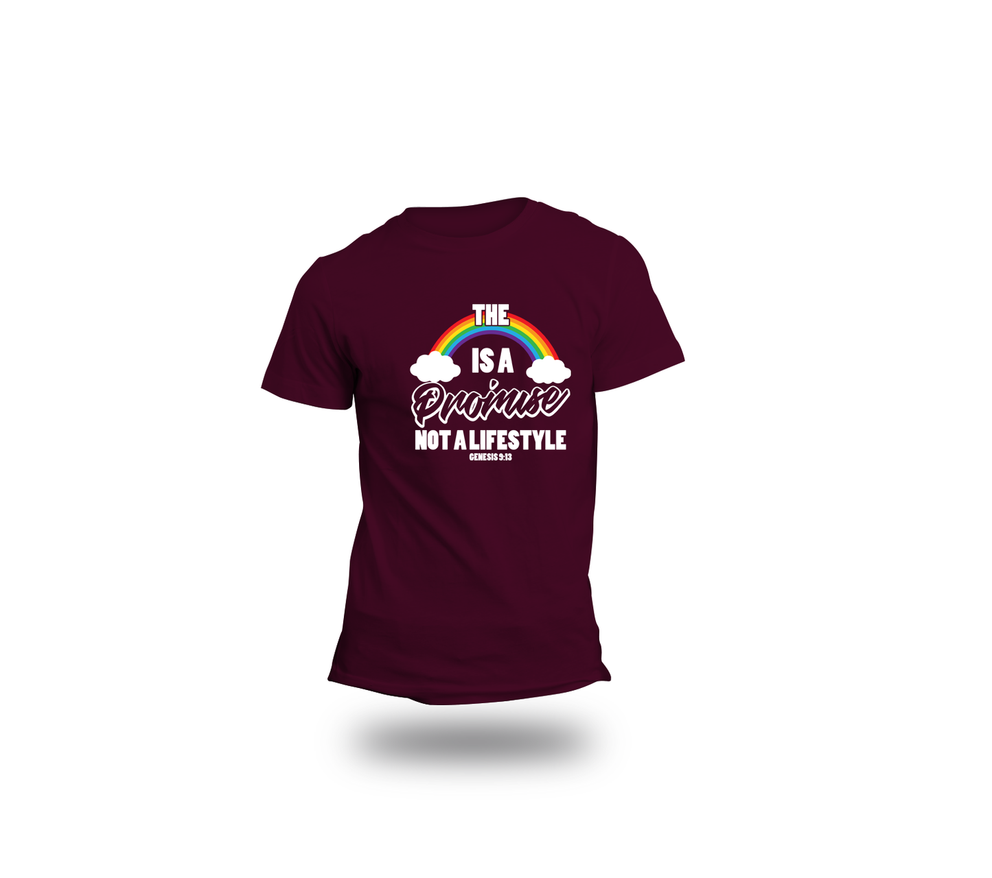 The Rainbow is A Promise Not a Lifestyle tee