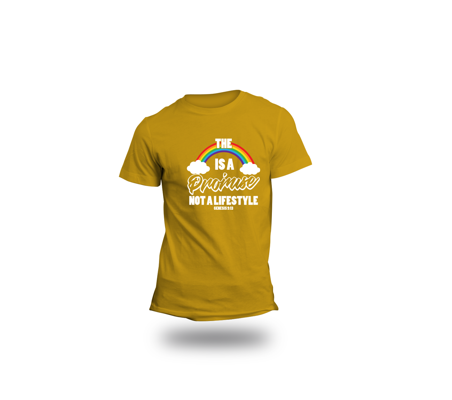 The Rainbow is A Promise Not a Lifestyle tee