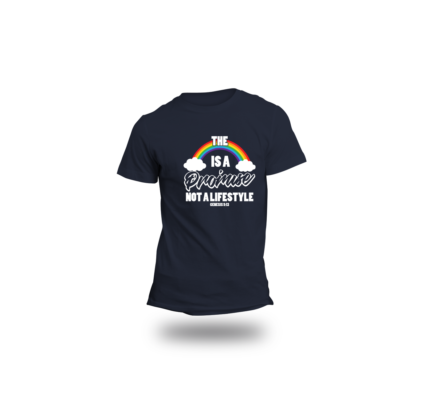 The Rainbow is A Promise Not a Lifestyle tee